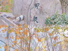 -陆地游轮西山温泉号