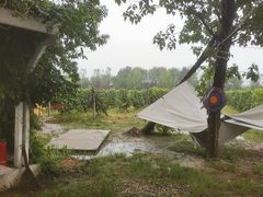 -安德鲁户外烧烤帐篷营地(马泉营店)