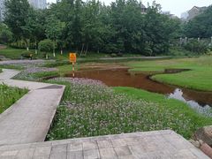 -重庆彩云湖湿地公园
