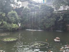 -碧江金楼