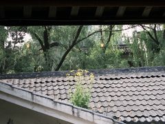 -竹子咖啡bamboo coffee