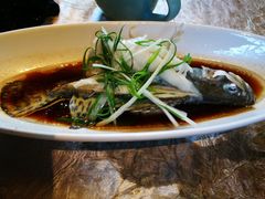 -十八棵（老龙井）御茶园(老龙井店)