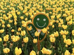 -廊坊文化艺术中心