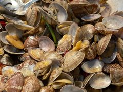 辣炒花蛤-鹊华居·地道鲁菜·海鲜·融合味(大明湖店)