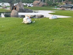 -罗红摄影艺术馆