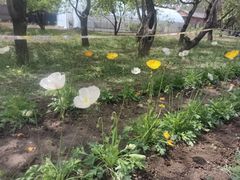 -国家植物园南园