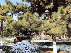 -洛阳古墓博物馆