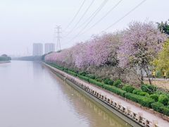 -南丰汇(新港东路店)