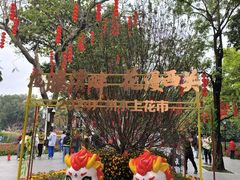 -荔湾湖公园