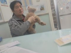 -宠福鑫康馨动物医院·骨科·眼科