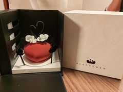 -BLACKSWAN黑天鹅(环球店)