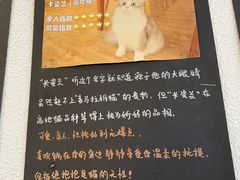 -猫小主咖啡·猫咖cat cafe(福田店)