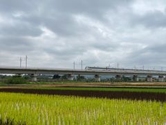 -光明小镇欢乐田园