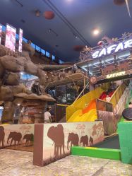 -卡通尼·Safari非洲探索乐园·生日会(金桥国际商业广场店)