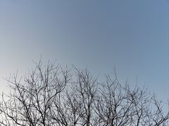-沙澧河风景区