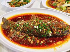 -夫妻肺片·老字号