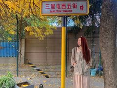 -三里屯东五街银杏大道
