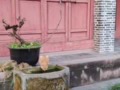 -房湖公园
