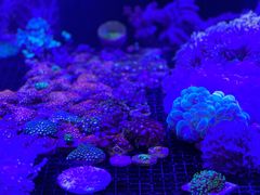 -肯德基(西稍门店)