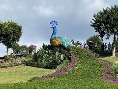 -东莞植物园