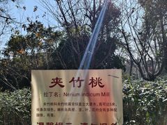 -莲湖公园