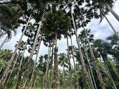 -中国科学院西双版纳热带植物园