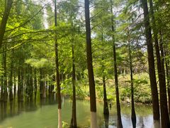 -捞渔河湿地公园