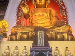 -南宁良凤江国家森林公园