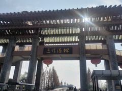 -三垟湿地