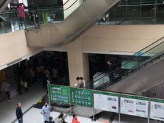 -山东大学齐鲁医院(青岛院区)