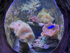 -杭州长乔极地海洋公园