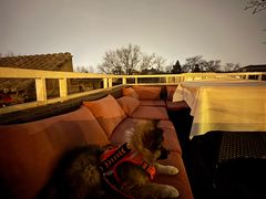 -EATALIA意塔利意式餐厅(鼓楼店)