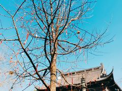 -钱王祠