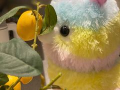 -LLJ夹机占(正佳广场店)