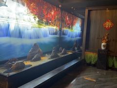 -大桶大足浴(宝山店)