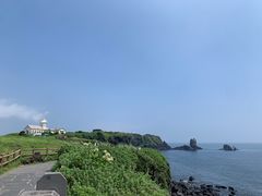 -涉地可支
