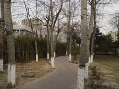 -庄怡公园