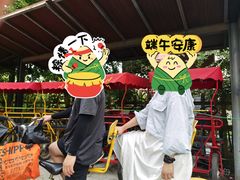 -上海长兴岛郊野公园