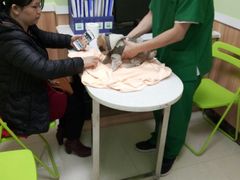 -瑞鹏宠物医院·夜间急症·心超·猫科(祖庙分店)