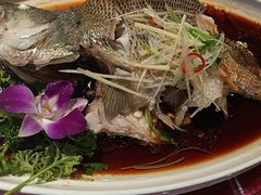 -东北大院·东北菜(三台子店)
