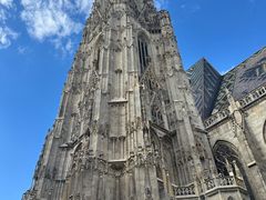 -斯蒂芬主教座堂(Stephansdom)