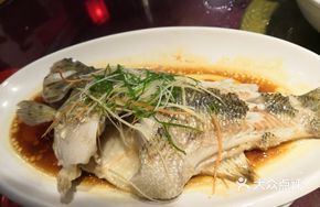Steamed Snakehead Fish