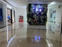 -深圳龙华星河COCO City(民治店)