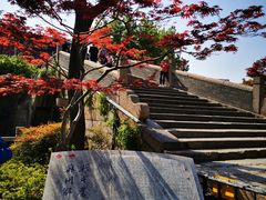 -枫桥景区