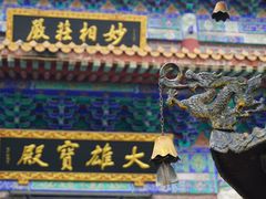 -天下玉苑
