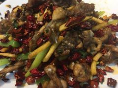 馋嘴牛蛙-川天喉重庆江湖菜
