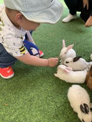 -萌宠亲子动物乐园(槐房万达店)