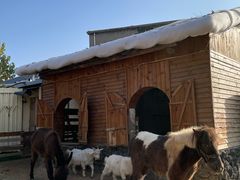 -HERRE·FARM 赫尔露营农场·团建聚会包场