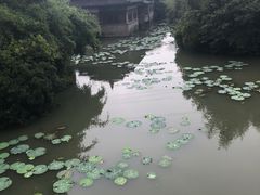 -韩湘水博园