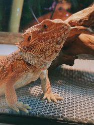 -酷嗒动物文化乐园(cutezoo西溪乐天城店)